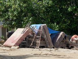 Padang Tetap Relokasi 3.000 Warga Terdampak Banjir
