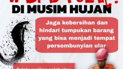Masuk Musim Hujan, BPBD Balangan Imbau Warga Waspadai Ular Masuk Rumah