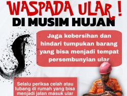Masuk Musim Hujan, BPBD Balangan Imbau Warga Waspadai Ular Masuk Rumah